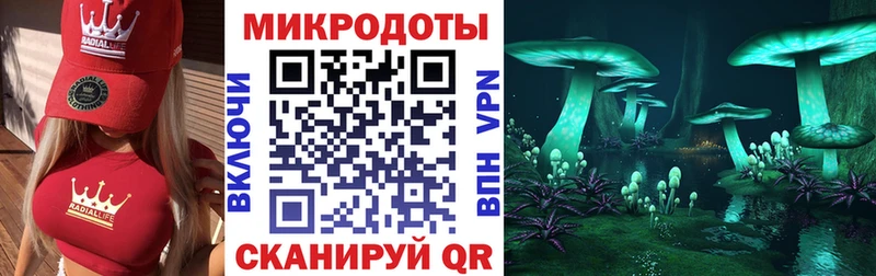 Псилоцибиновые грибы Psilocybe  хочу наркоту  Ессентукская 